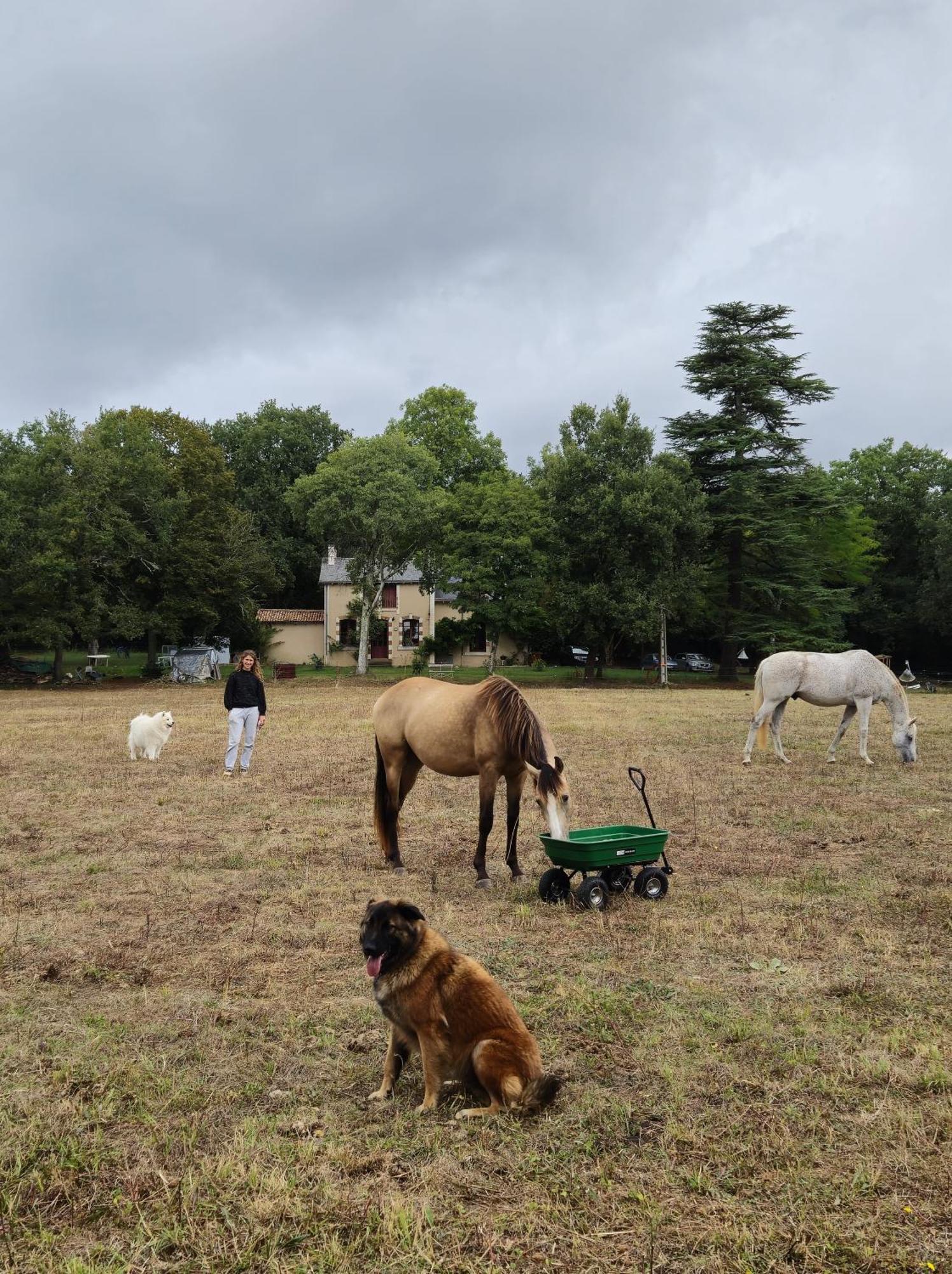 Lodge Marcart, Sur Le Sentier Du Miosson Benoit *
